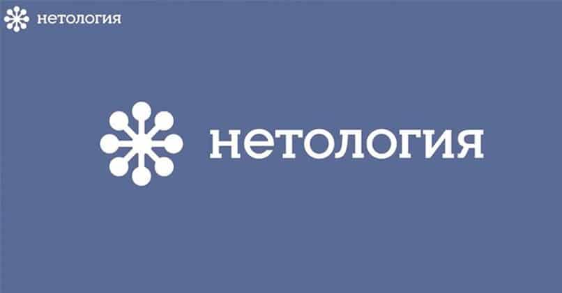 Нетология отзывы. Нетология. Логотип Нетологии. Нетология групп логотип. Нетология лого новый.