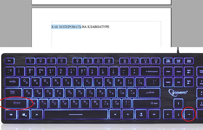 Как копировать на клавиатуре. Клавиатура Gembird Gembird KB-91 Backlight Multimedia KB-. Gembird KB-8430m. Keyboard Winstar KB-502 Black Rus USB.