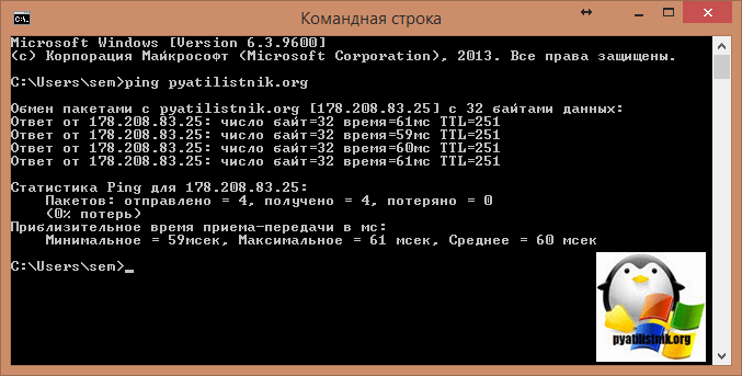 Как узнать хост сервера. Статистика пингов. Статистика пинг пакетов. Как определить хост сайта. Как посмотреть пинг ДНС серверов.